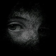 sensai profil resmi